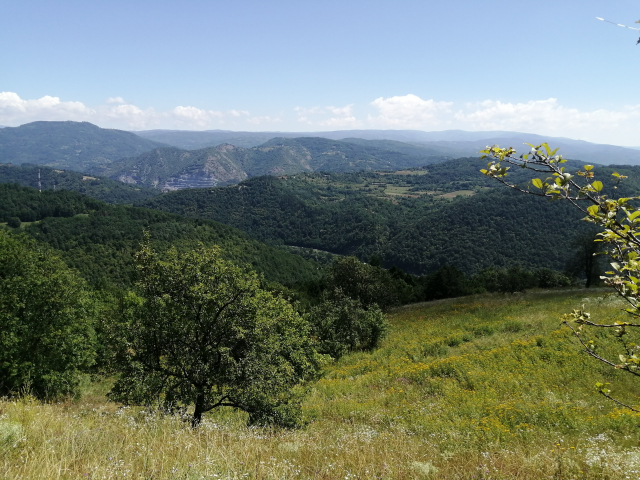 Podela paketa pomoći u Vranju