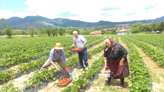 Patrijarh Porfirije na slavi Eparhije vranjske