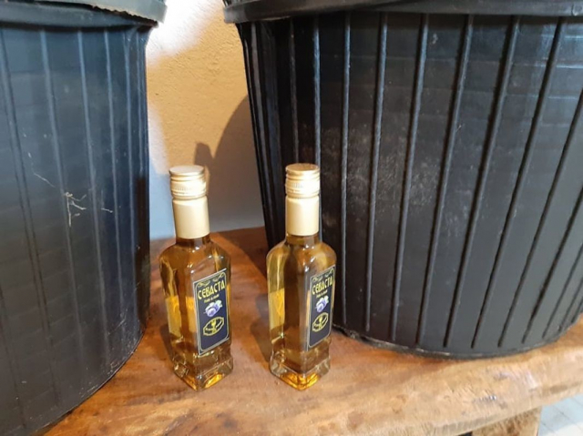 Evropska nedelja mobilnosti