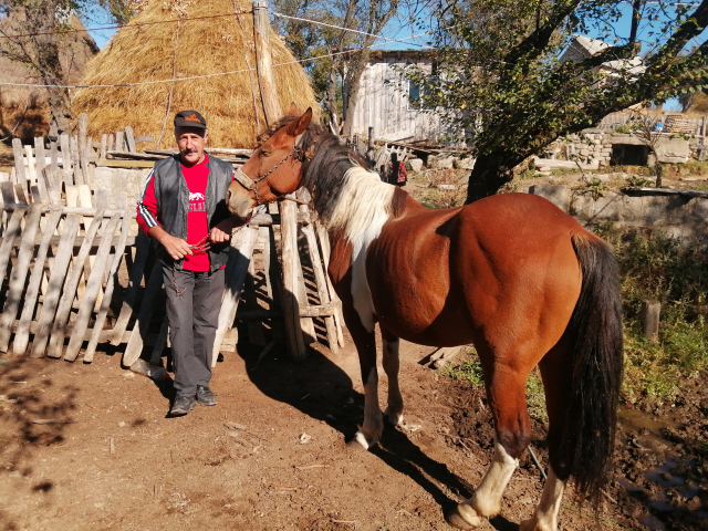 Borini pozorišni dani: Dodela nagrada