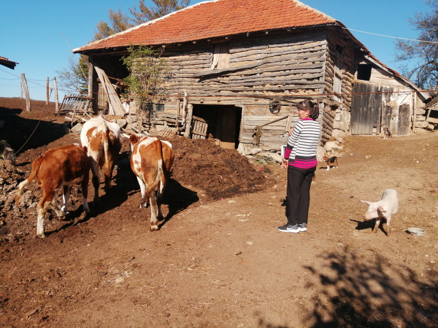 Borini pozorišni dani: Dodela nagrada
