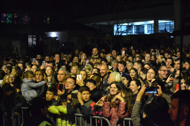 Koncert za tri naše