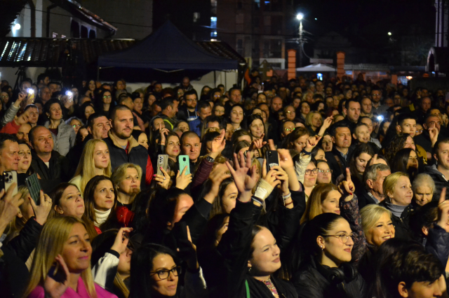 Koncert za tri naše