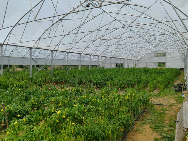 SIMPO-popusti u septembru