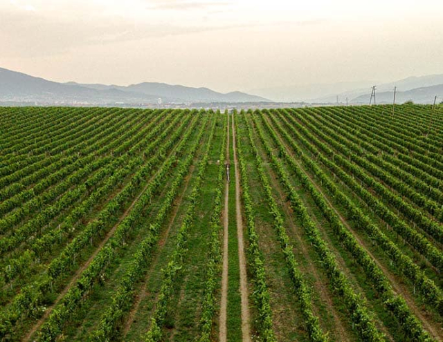 Najromantičniji gradovi u Srbiji