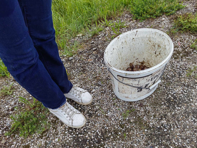 Puževi
