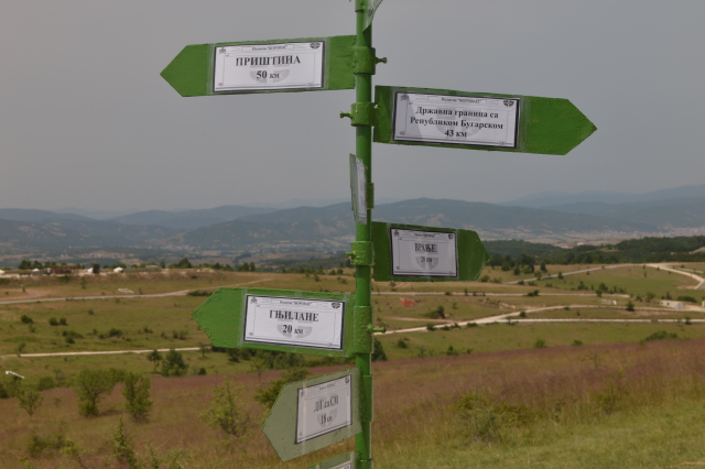 Platinasti vuk 2024.