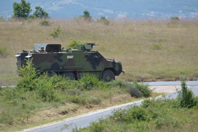 Platinasti vuk 2024.