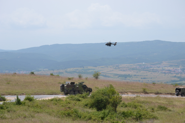 Platinasti vuk 2024.