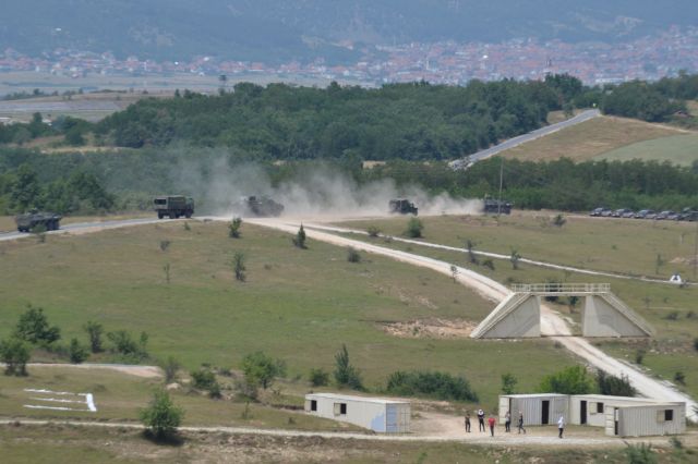 Platinasti vuk 2024.