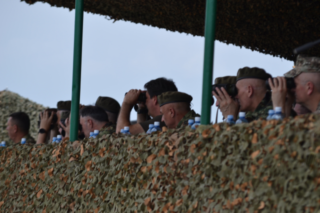 Platinasti vuk 2024.