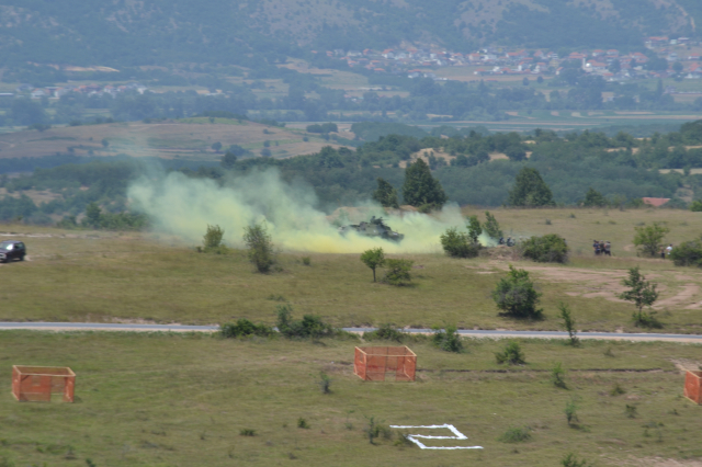 Platinasti vuk 2024.