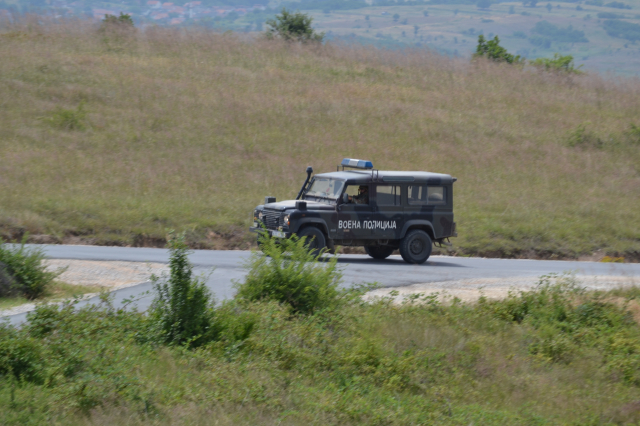 Platinasti vuk 2024.