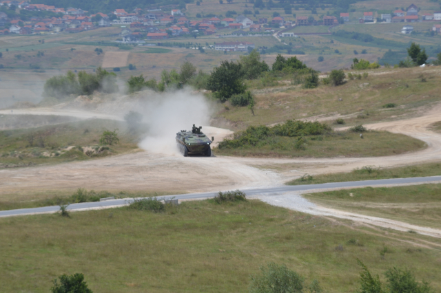 Platinasti vuk 2024.