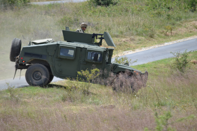 Platinasti vuk 2024.