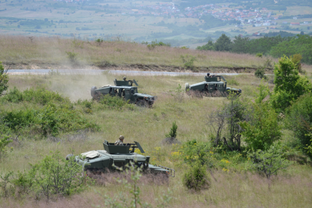 Platinasti vuk 2024.