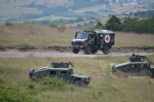 Platinasti vuk 2024.