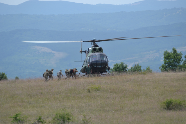 Platinasti vuk 2024.