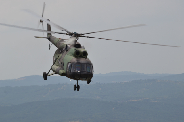 Platinasti vuk 2024.