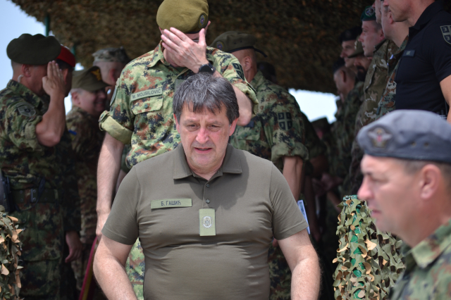 Platinasti vuk 2024.