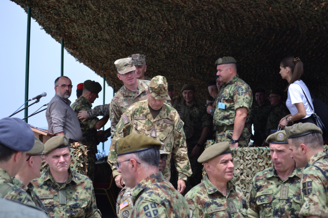 Platinasti vuk 2024.