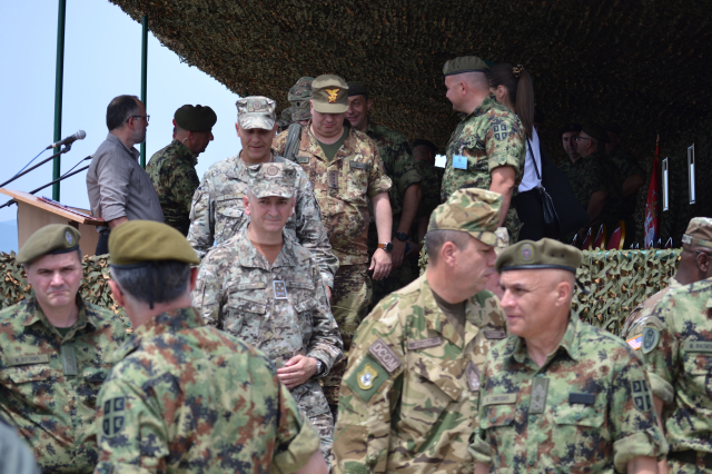 Platinasti vuk 2024.