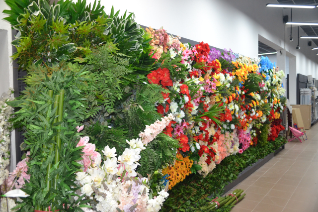 Dream City otvaranje