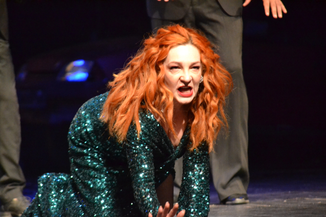 Predpremijera Čehovljevog Galeba