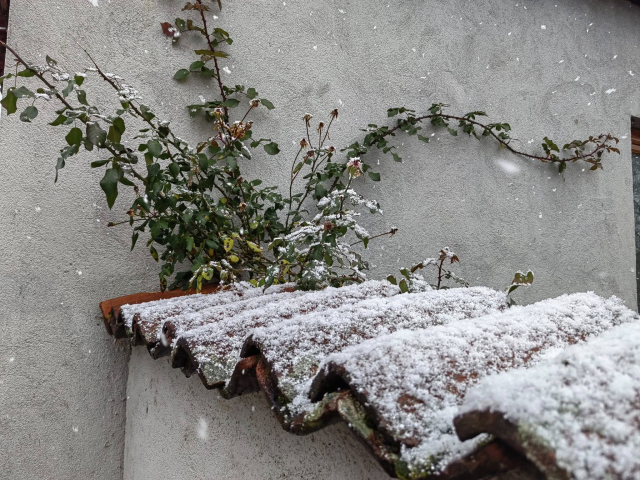 NOVOGODIŠNJI POPUSTI U SIMPU