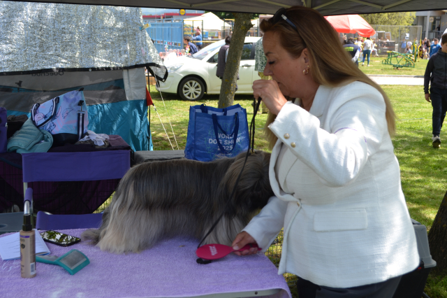 Međunarodna izložba pasa-Vranje