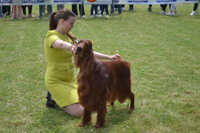 Međunarodna izložba pasa-Vranje