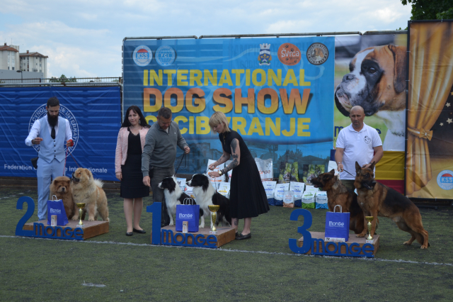 Međunarodna izložba pasa-Vranje