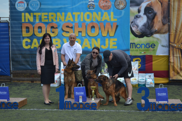Međunarodna izložba pasa-Vranje