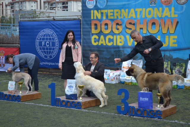 Međunarodna izložba pasa-Vranje