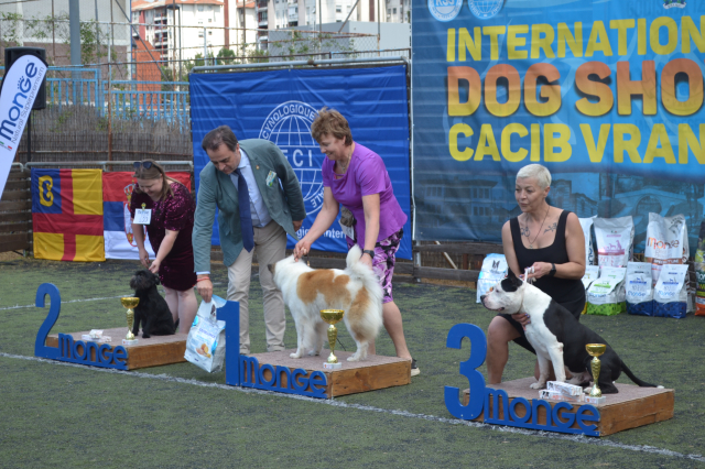 Međunarodna izložba pasa-Vranje