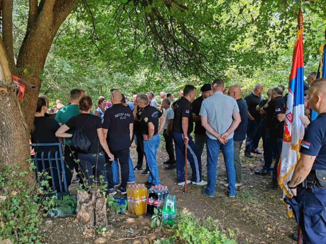 Ulica Nebojše Savića