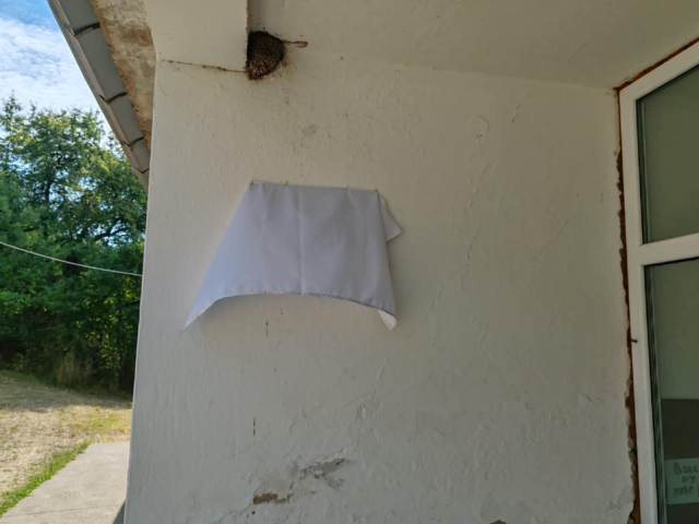 Crkva Svete Petke-Krstata džamija