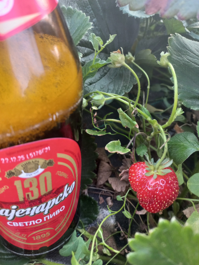 Jagode iz Neradovca