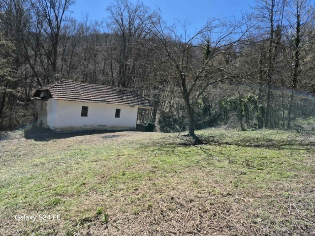 Oštra Glava