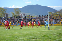 Dinamo-Voždovac 1:0