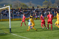 Dinamo-Voždovac 1:0