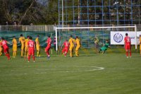 Dinamo-Voždovac 1:0