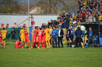 Dinamo-Voždovac 1:0