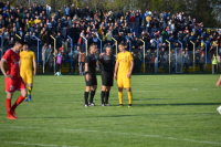 Dinamo-Voždovac 1:0