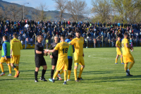 Dinamo-Voždovac 1:0