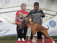 10. Međunarodna izložba pasa svih rasa, Vranje 2019.