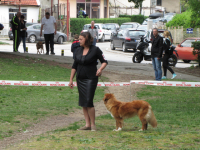 10. Međunarodna izložba pasa svih rasa, Vranje 2019.