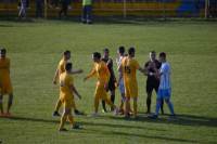 Dinamo-Spartak 2:1