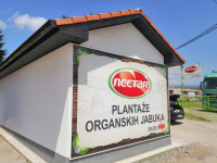 Nectar Plantaže organske jabuke