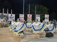 Studentski festival folklora